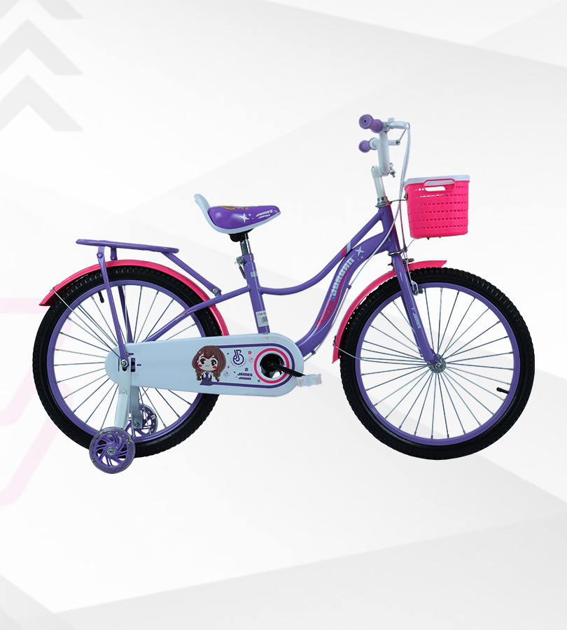 Bsa disney princess cycle 20 shop